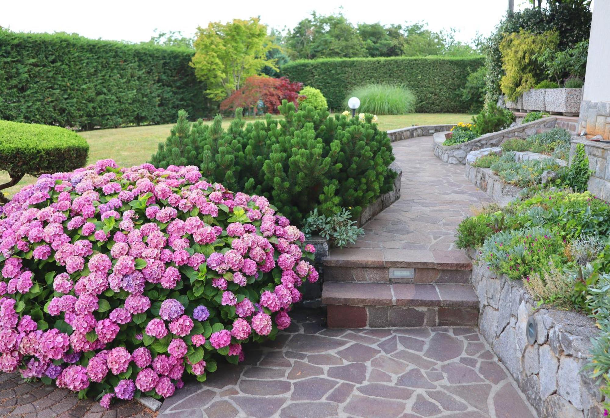 Garden Villa Štanjel Exteriér fotografie