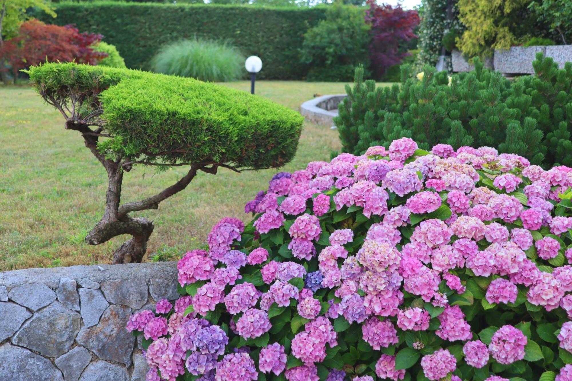 Garden Villa Štanjel Exteriér fotografie