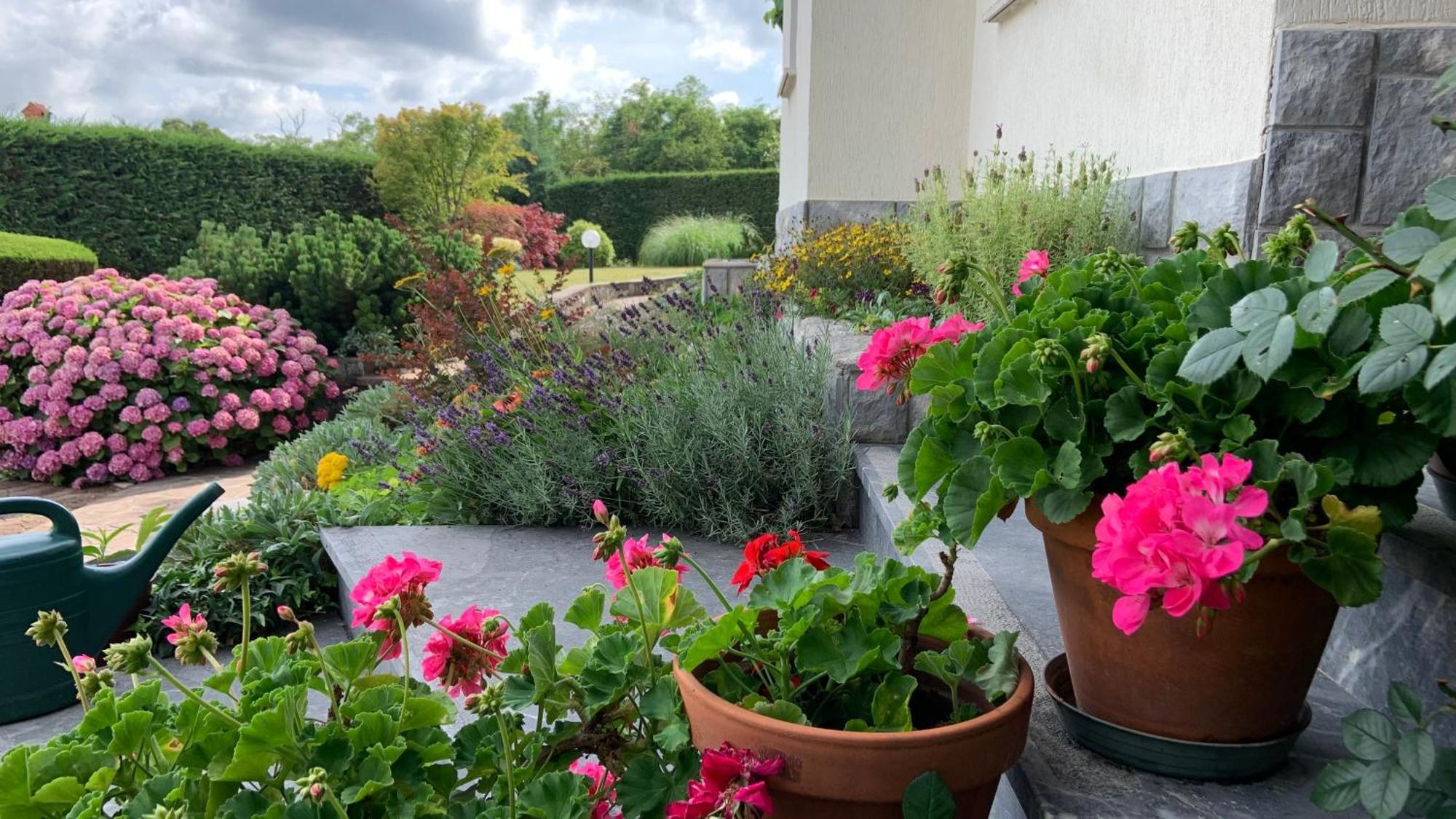 Garden Villa Štanjel Exteriér fotografie